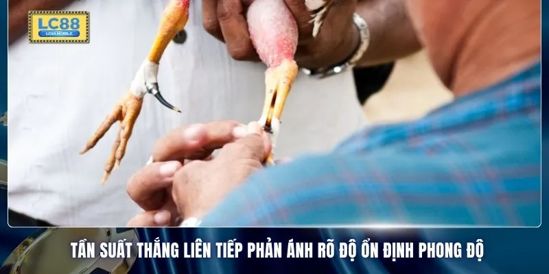 Tần suất thắng liên tiếp phản ánh rõ độ ổn định phong độ
